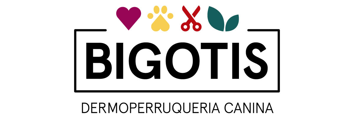 bigotis-logo