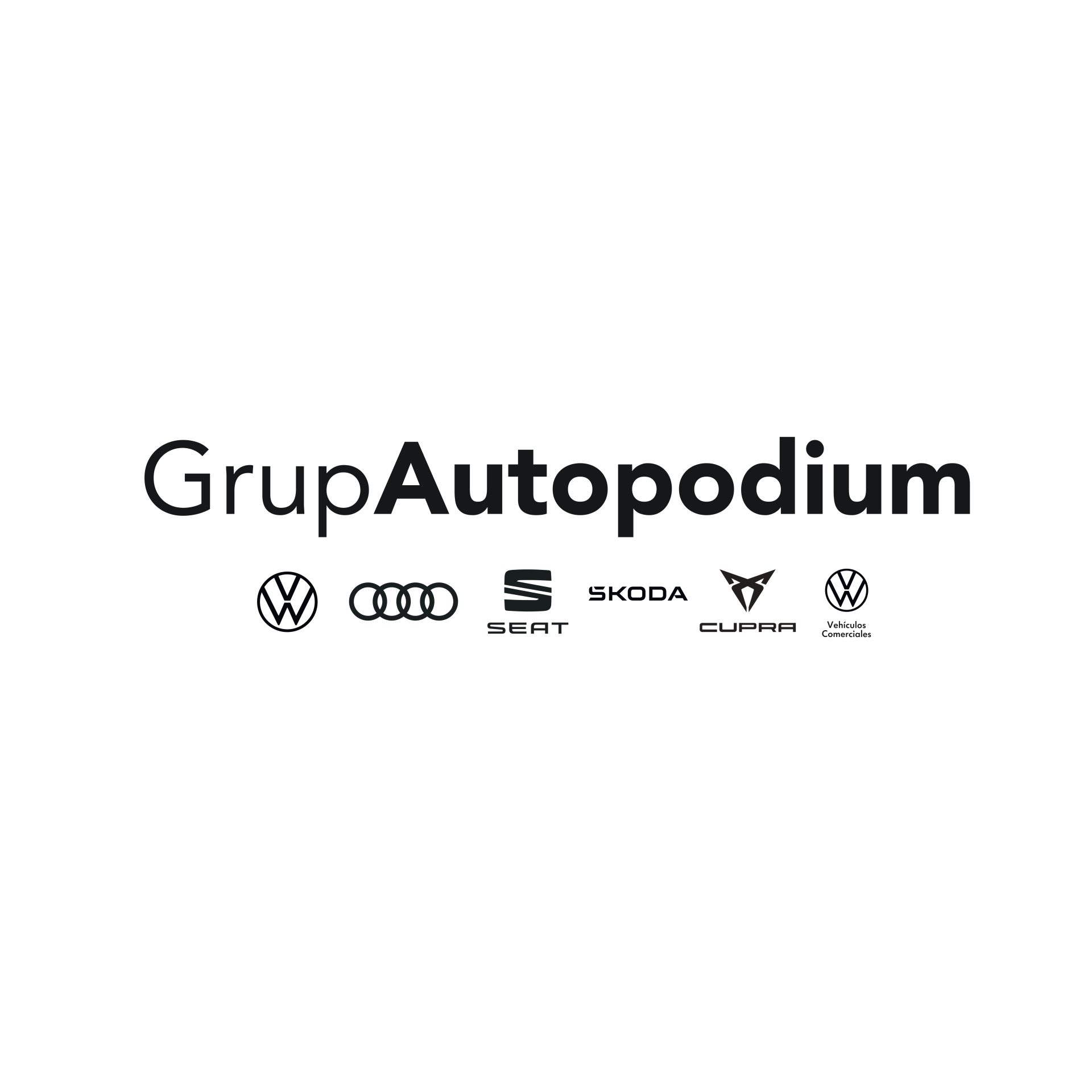 logo_autopodium vectoritzat_pages-to-jpg-0004